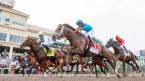 Early Belmont Stakes Odds 2022 Early Belmont Stakes Odds 2022