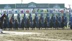 Handicapping the 2017 Belmont Stakes