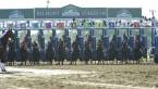 2018 Belmont Stakes Contenders 2018 Belmont Stakes Contenders
