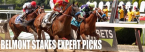 2019 Belmont Stakes Expert Picks
