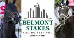 Where Can I Bet the Belmont Stakes Online From Michigan?