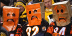 NFL Football Betting: Tough Time for Teams With 'Cat Nicknames' NFL Football Betting: Tough Time for Teams With 'Cat Nicknames'