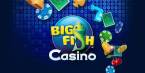 Big Fish Games Class Action Suit: Used Illegal Gambling Practices