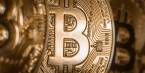 Bitcoin, Best Option, Online, Local Bookies 