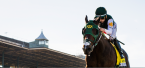 Bolt D'Orbo Odds to Win the 2018 Kentucky Derby Bolt D'Orbo Odds to Win the 2018 Kentucky Derby