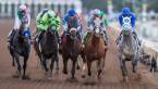 2018 Breeders Cup Juvenile Fillies Turf Odds to Win