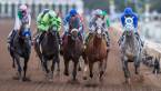 2018 Breeders Cup Juvenile Fillies Turf Odds to Win 2018 Breeders Cup Juvenile Fillies Turf Odds to Win