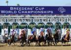 2019 Breeders Cup Betting News