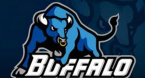 Buffalo Bulls Office Pool Strategy, Pick, Odds - 2019 March Madness 