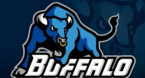 Buffalo Bulls Office Pool Strategy, Pick, Odds - 2019 March Madness Buffalo Bulls Office Pool Strategy, Pick, Odds - 2019 March Madness