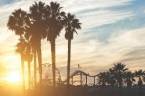Need an Online Bookie in California Need an Online Bookie in California