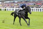 Caravaggio Odds to Win the Commonwealth Cup – Royal Ascot 2017