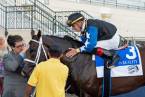 Chance It Payout Odds to Win the Fountain of Youth Stakes: Scratch Considered 