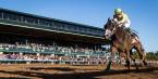 Classic Empire Odds to Win the 2017 Preakness Stakes