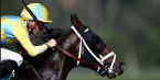 Early Odds to Win Belmont Stakes 2017: Classic Empire Would Pay Out $140 Early Odds to Win Belmont Stakes 2017: Classic Empire Would Pay Out $140