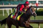 Classic Empire Odds of Winning Belmont Stakes – Payout Near 2-1 Classic Empire Odds of Winning Belmont Stakes – Payout Near 2-1