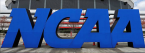 College Basketball Betting Action Report for February 21: Purdue, VTech, More College Basketball Betting Action Report for February 21: Purdue, VTech, More