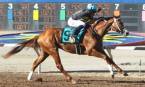 What Will the Payout Be If Conquest Mo Money Wins the Preakness Stakes? What Will the Payout Be If Conquest Mo Money Wins the Preakness Stakes?