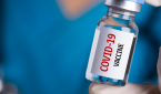 Odds on a Covid Vaccine and When Odds on a Covid Vaccine and When