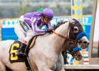 Cupid Odds to Win the 2017 Breeders Cup Classic 
