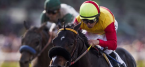Danzig Candy Post Position Draw Twenty Odds – 2016 Kentucky Derby Danzig Candy Post Position Draw Twenty Odds – 2016 Kentucky Derby