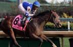 Dennis' Moment Payout Odds to Win the Fountain of Youth Stakes