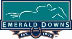 Betting on the Kentucky Derby From Emerald Downs in Washington Betting on the Kentucky Derby From Emerald Downs in Washington