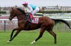 Odds to win the 2018 Breeders Cup Turf Odds to win the 2018 Breeders Cup Turf