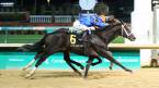 2018 Holy Bull Betting Odds 2018 Holy Bull Betting Odds