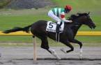 Epicharis Odds to Win the 2017 Belmont Stakes Epicharis Odds to Win the 2017 Belmont Stakes