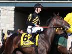 Everfast, Joevia, Tax Payout Odds to Win Belmont Stakes 