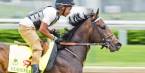 Why Bet on Exaggerator to Win This Year’s Kentucky Derby Why Bet on Exaggerator to Win This Year’s Kentucky Derby