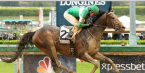 Why Bet Exaggerator to Win the 2016 Preakness? Rain in Forecast  