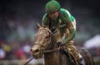 Exaggerator Odds to Win the Preakness Stakes: Top Mudder With Rain Likely