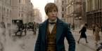 Fantastic Beasts and Where to Find Them Stuns Oscar Bettors: Pays Out $2000