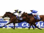 2012 Longchamp Qatar Prix du Moulin Betting Odds 2012 Longchamp Qatar Prix du Moulin Betting Odds