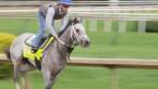 What Will the Payout Be if Fast and Accurate Wins 2017 Kentucky Derby  