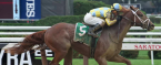 Flameawy Payout Odds 2018 Kentucky Derby Flameawy Payout Odds 2018 Kentucky Derby
