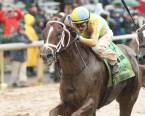 Flameaway Post Position Chances of Winning the Kentucky Derby Flameaway Post Position Chances of Winning the Kentucky Derby