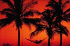 Where Can I Bet the Triple Crown Online From Florida? Where Can I Bet the Triple Crown Online From Florida?