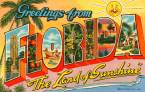 Florida Gambling Shines, Falls In Equal Measure