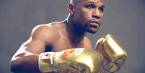 Maloofs Bet $880K on Mayweather; Will Give All of Winnings to Charity