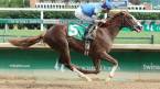 Free Drop Billy Post Position Chances of Winning the Kentucky Derby 