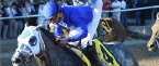 Frosted Odds to Win 2016 Breeders Cup Classic