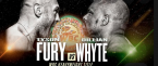 Tyson Fury vs Dillian Whyte FIght Odds