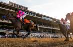 Odds to win the 2018 Breeders Cup Juvenile - Game Winner Big Favorite