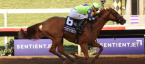 Good Magic Post Position Chances of Winning the Kentucky Derby Good Magic Post Position Chances of Winning the Kentucky Derby
