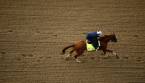 Good Magic Payout Odds - Preakness Stakes 