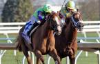 What Are the Payout Odds for Good Magic to Win the Kentucky Derby What Are the Payout Odds for Good Magic to Win the Kentucky Derby