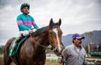 What Will the Payout Be if Gormley Wins 2017 Kentucky Derby  
